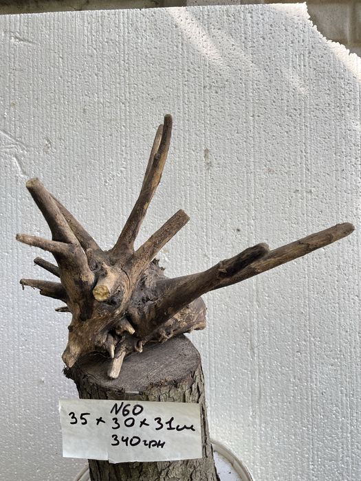 Коряги в акваріум