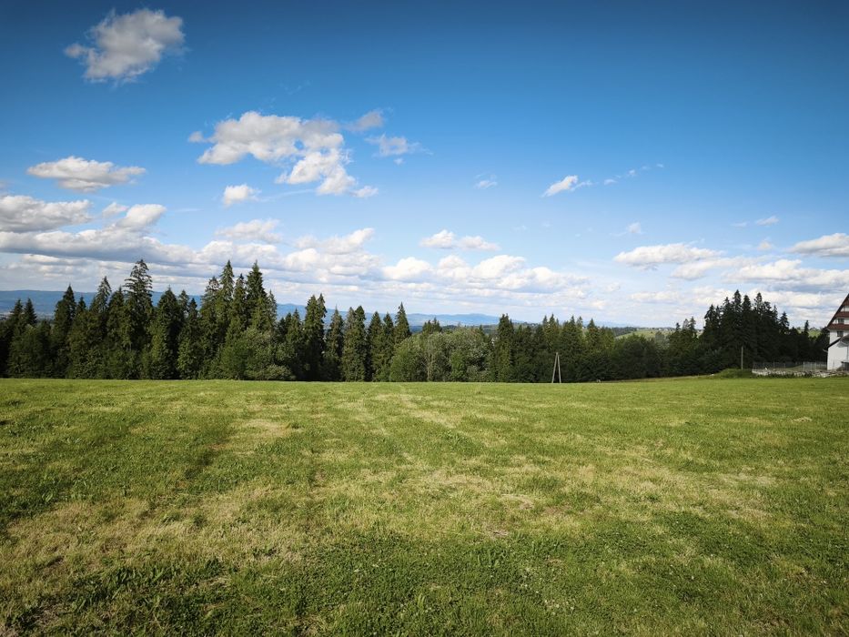 Sprzedam działkę na Podhalu ( Bachledówka) o powierzchni 1,7 ha.
