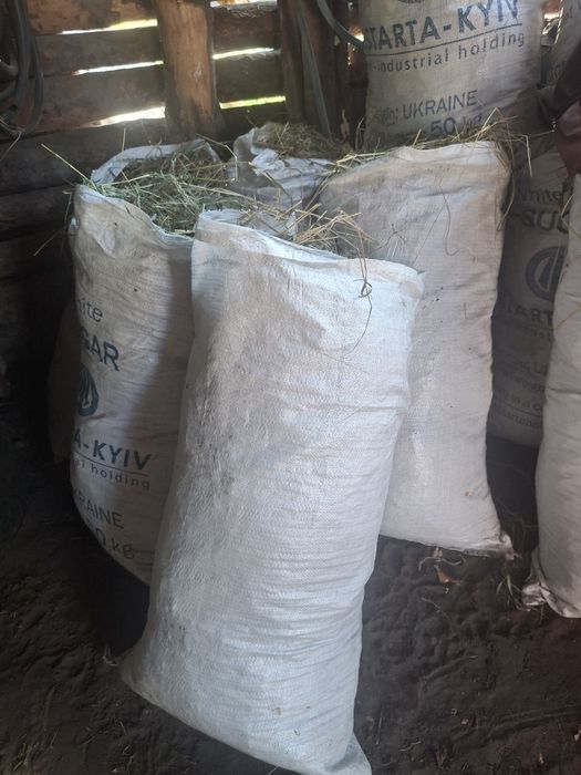 Продам сіно можу відправити поштою .