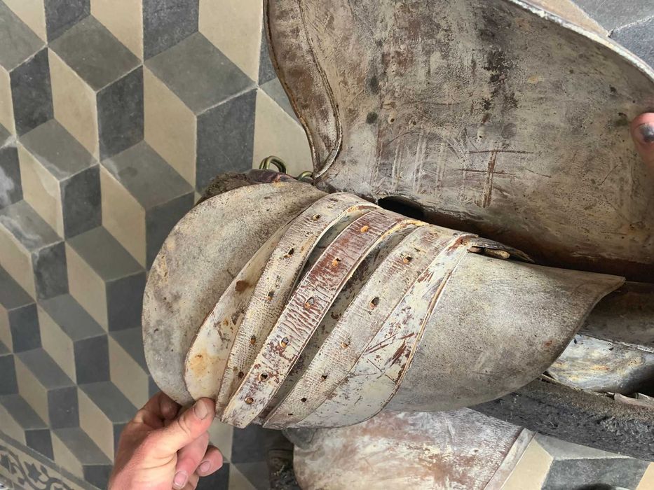 Cela para cavalo