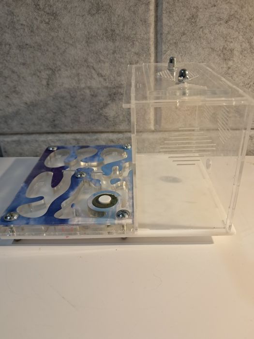 Formikarium dla mrówek