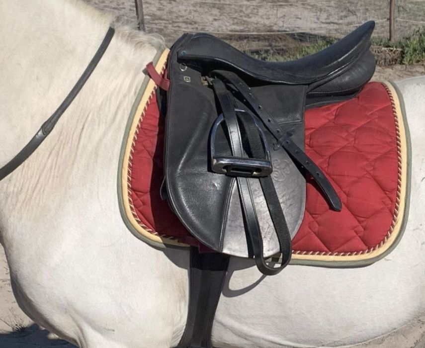 Sela dressage Stubben 17,5’
