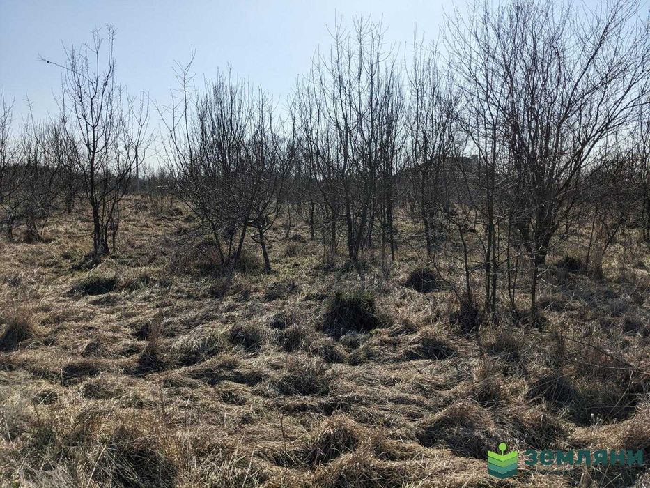 Продаж землі під забудову, 10 соток м.Тисмениця вул. М.Погідної (5)