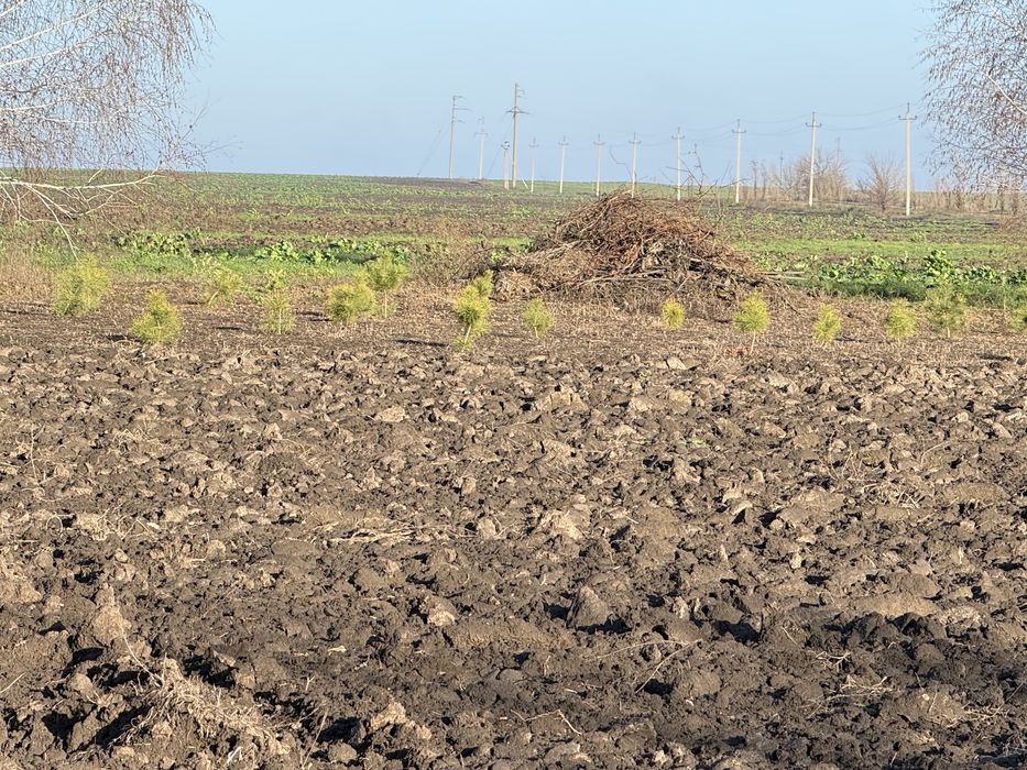 Продаж будинку Абазівка