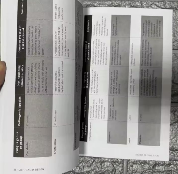 2 livros da Barbara O’Neill - self heal e sustain me ( portes gratis)