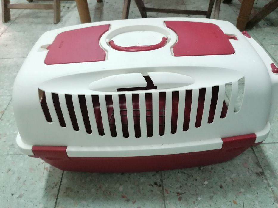 Transporte para cães