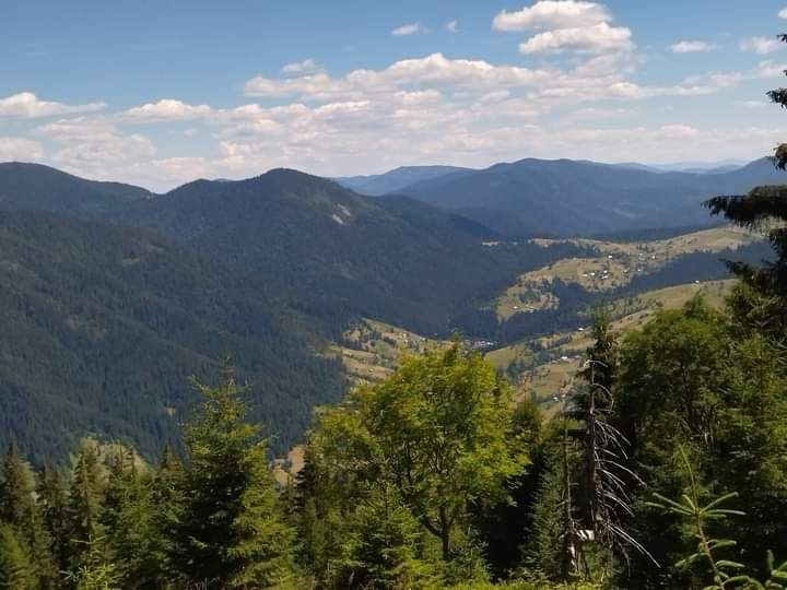 Здається котедж на три окремі номери