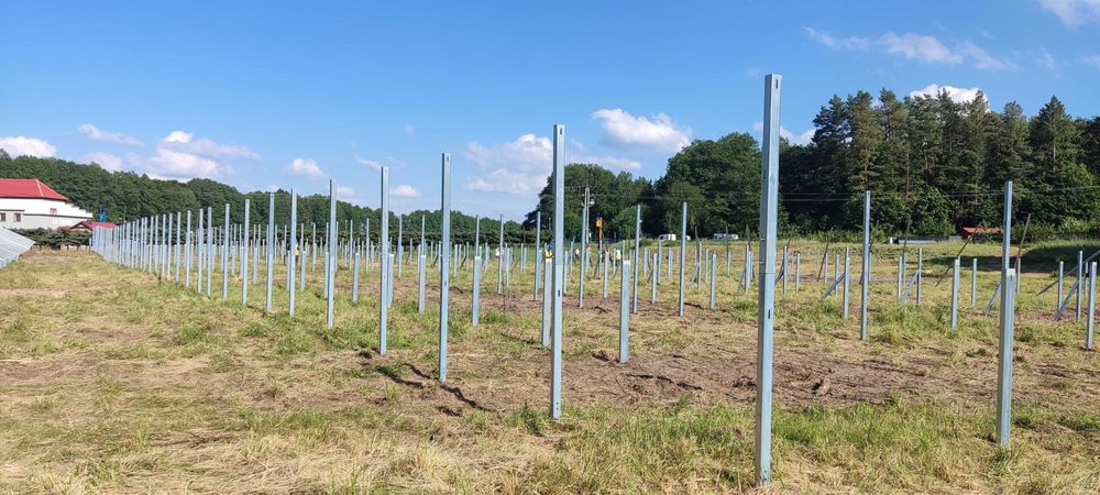 Wynajem kafar gąsienicowy, kafarowanie, palowanie, próby wyrywania.