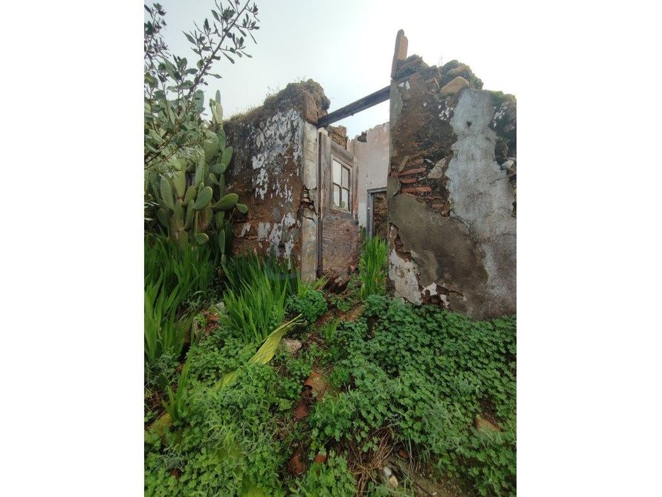 Terreno com Ruína para Reconstrução - Arripiado — Carregueira, Santarém