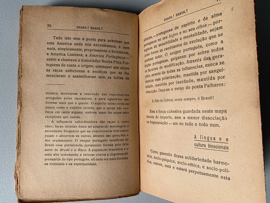 Brasil! Brasil!, de Ricardo Jorge