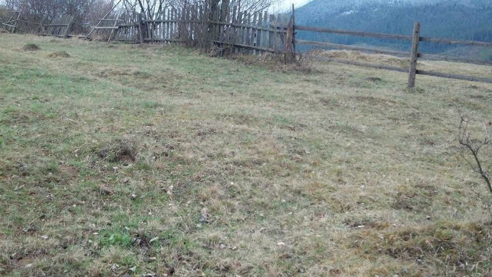 Земельна ділянка в центрі с.Бистриця Надвірн р-н Івано-Франківської