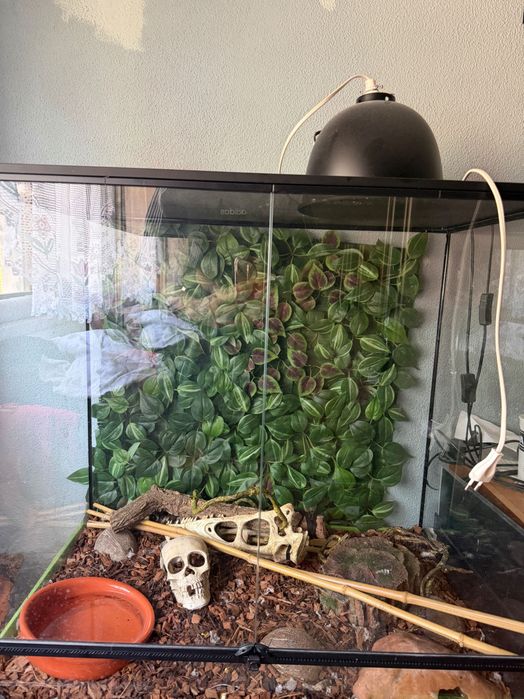 Terrario Giganterra 80x50x80