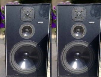 Duże monitory Magnat Master 18 bass 25cm Seas Vifa 4ohm 150W 30-34kHz