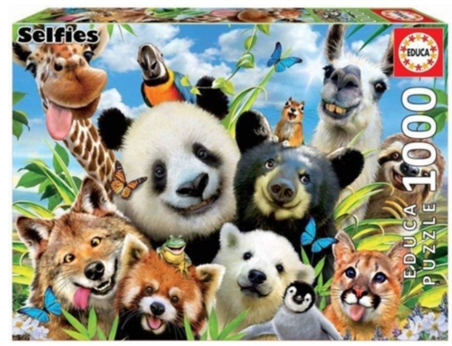 Puzzle 1000 peças