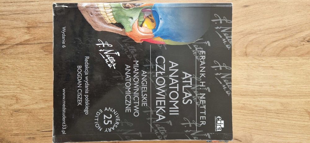 Atlas anatomii człowieka Netter angielskie mianownictwo