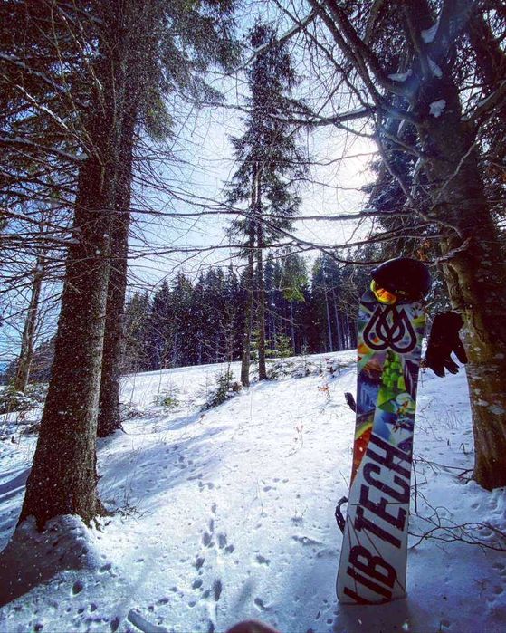 Lib Tech T. Rice PRO HP (157) + Rome Targa L-XL