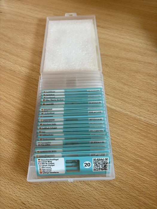 Microscópio júnior