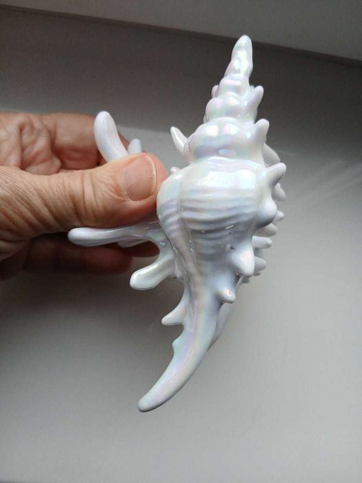 Заколка крабик ракушка новая