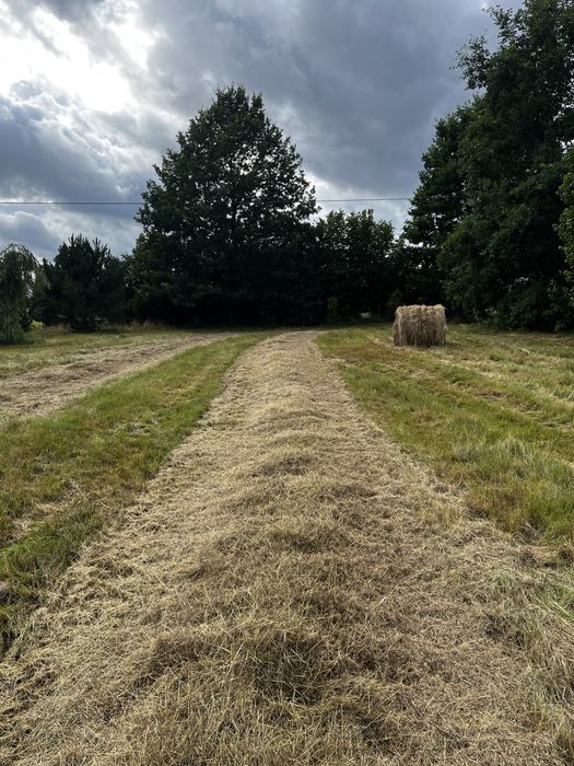 Dzialka budowlana 1000 m² - Widok 4