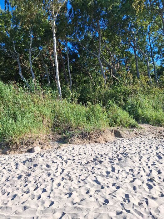 Działka nad morzem Pleśna k. Ustronia Morskiego Sarbinowo Niechorze 200m do wydm i lasku a za nimi plaża i morze