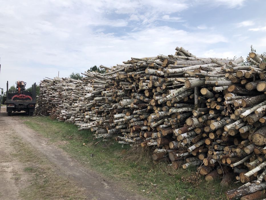 Продаж дров гурт/опт