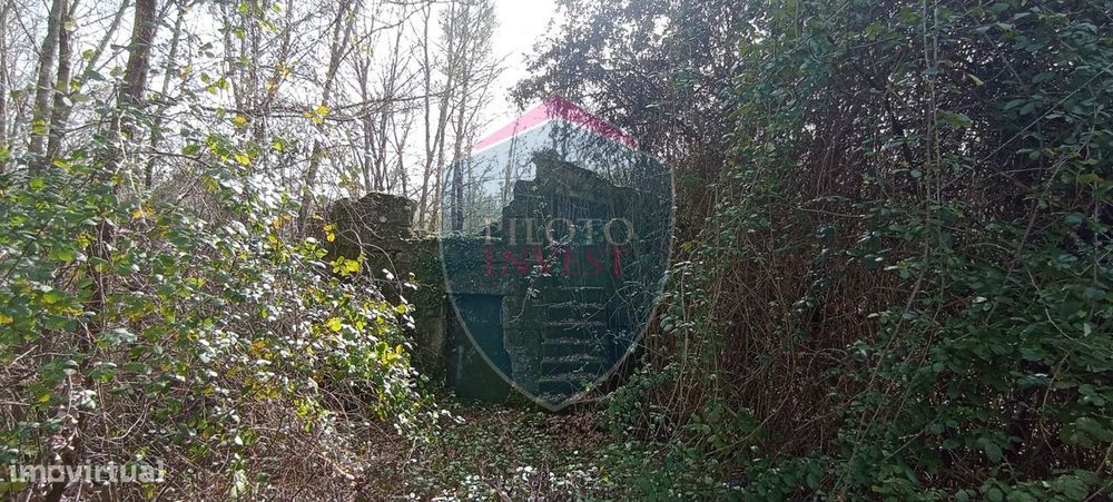 Quinta  Venda em Silgueiros,Viseu