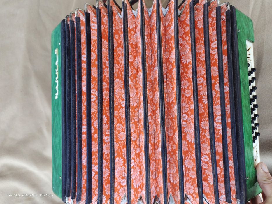 Продам гармонь-гармошку (Шуйська) чайка-2