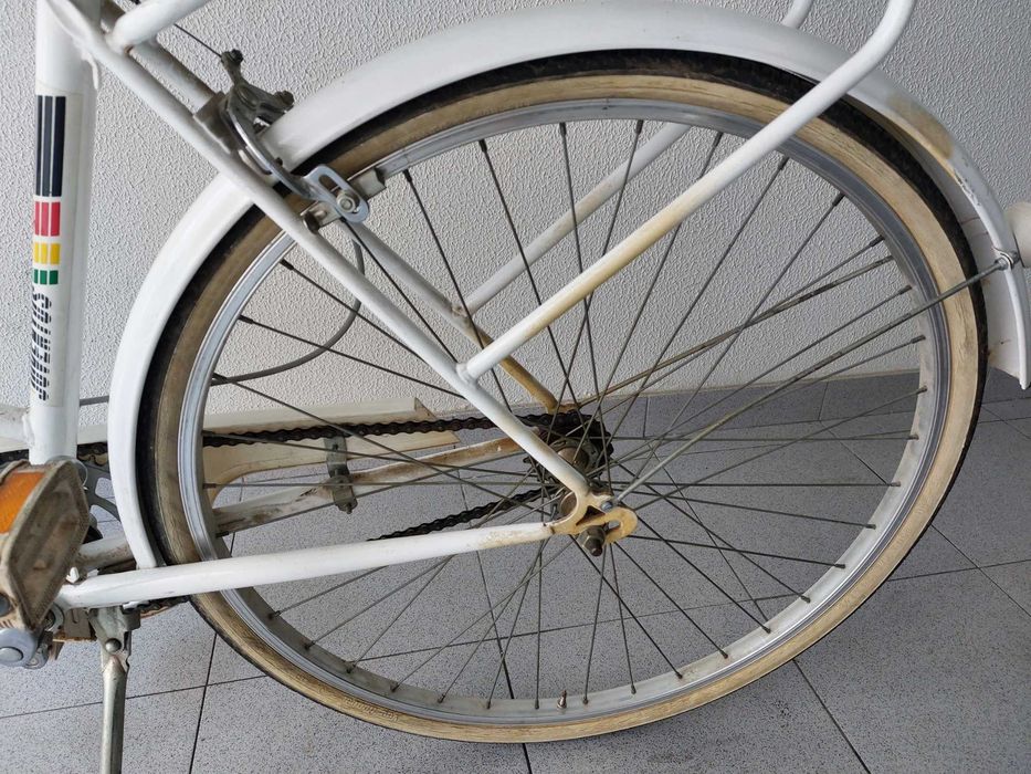 Bicicleta tipo Pasteleira