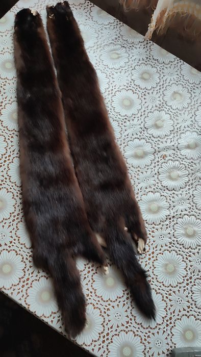 Продам шкурки норки