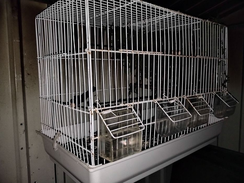 Vendo ou troco viveiro