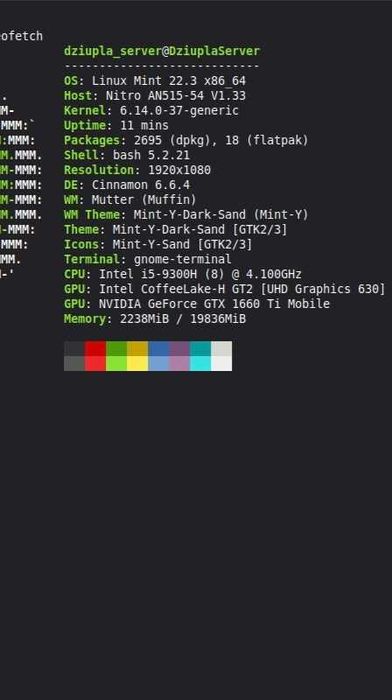 Laptop Acer Nitro 5 | GTX 1660Ti | 20GB RAM | Linux Mint