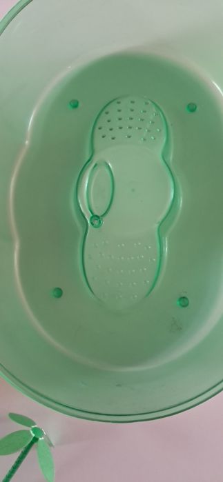 Tartarugueira verde