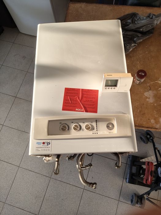 Caldeirada roca 24/24