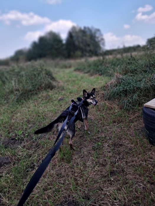 Fiszka ciągle jeszcze liczy na cud!
