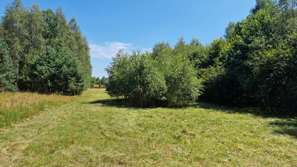 Działka rolno-leśna z warunkami zabudowy – Poddębowiec