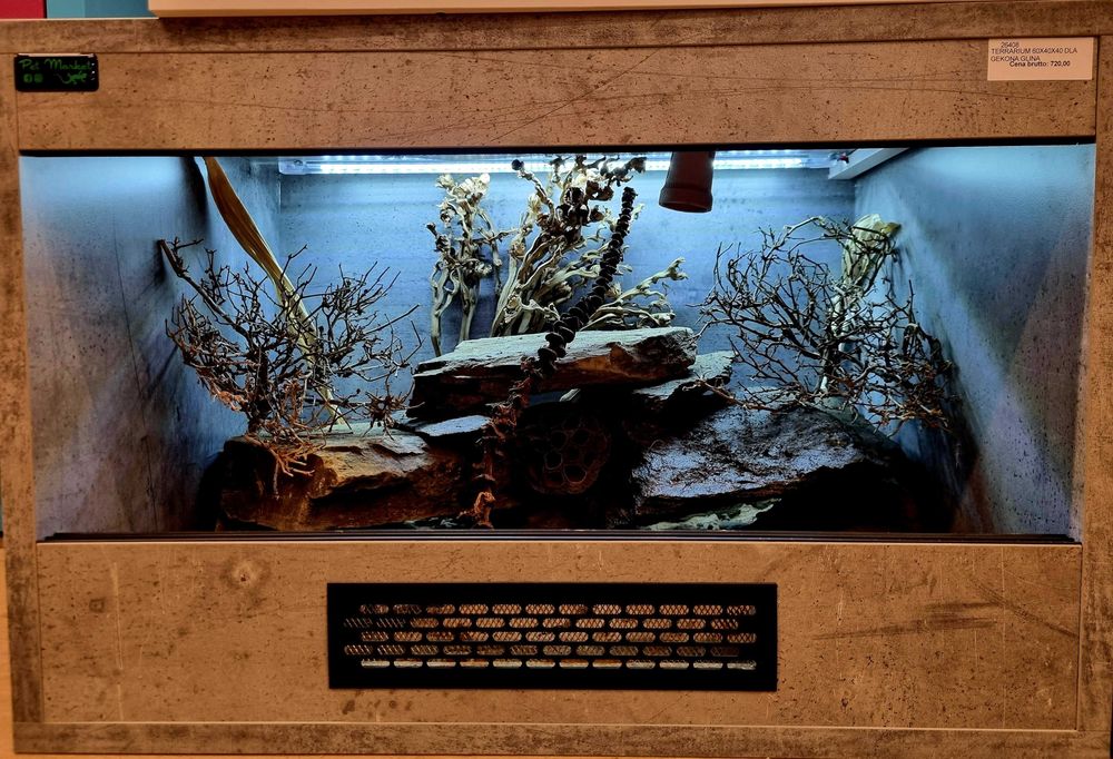 Terrarium 60x40x40 dla gekona lamparciego jaszczurki