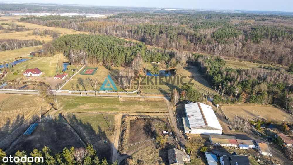 Działka z WZ - Boroszewo