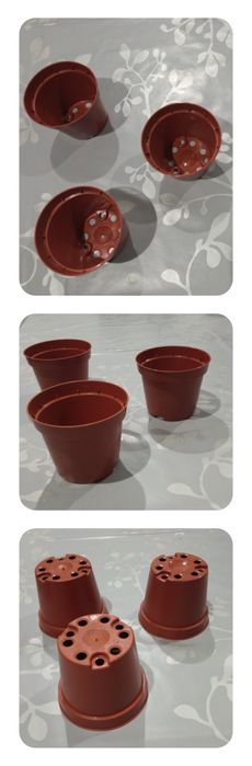 3 vasos para catos,  suculentas ou plantar temperos (ervas aromáticas)
