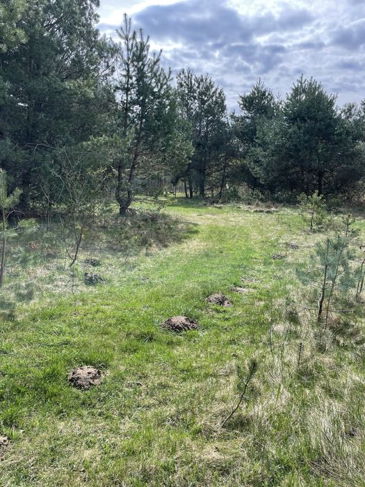 Терміново! Продаж землі під будівництво