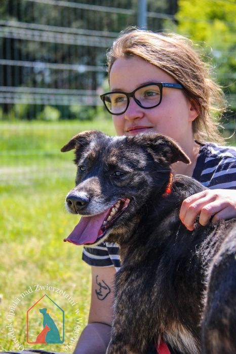 Kila 79/24 - SZUKA DOMU!