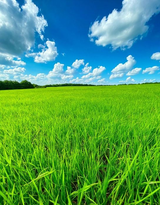 Продаж земельної ділянки с. Дядьковичі
