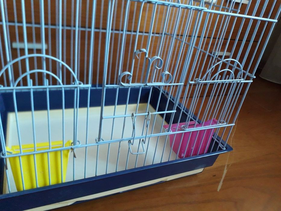 Gaiola para papagaio
