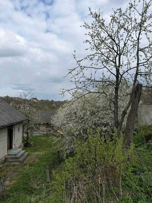 Земельна ділянка з будинком у Кременці - Вид 3