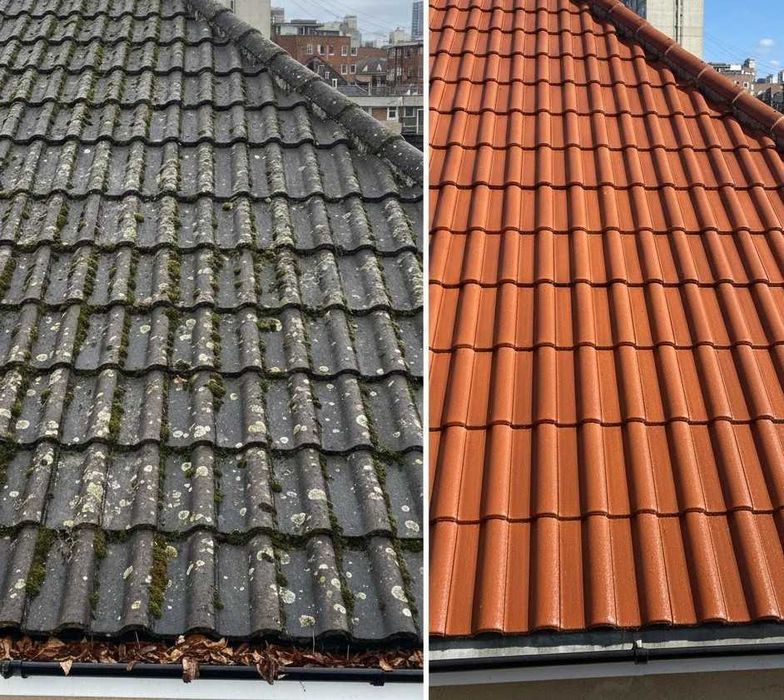 Limpeza de telhados terraços e paredes