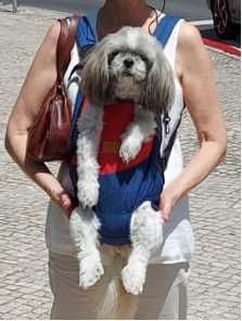 Mochila de transporte para cães e gatos