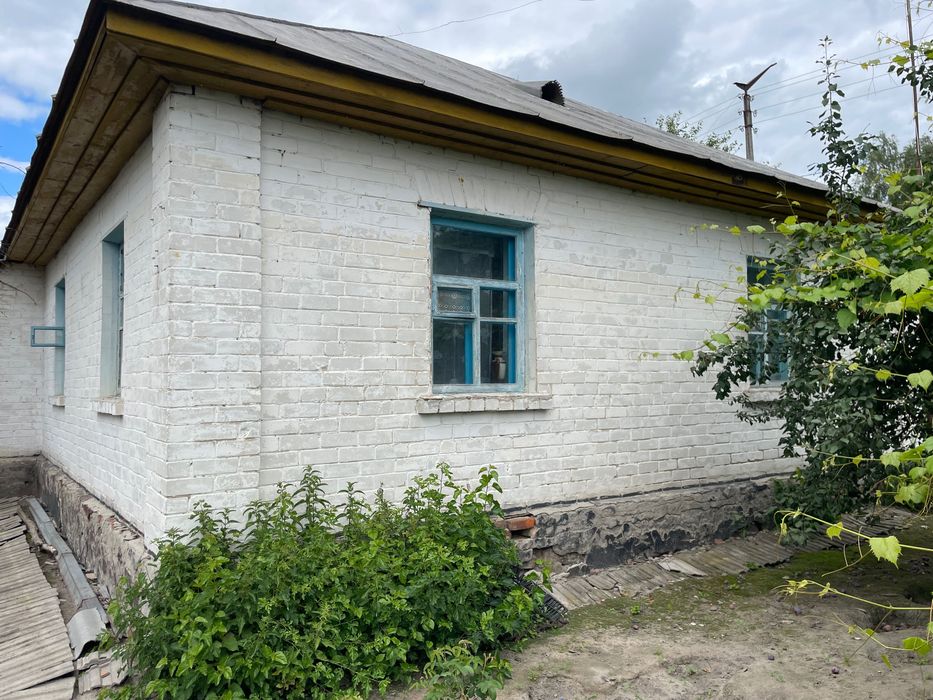 Продаж будинка в м. Мена