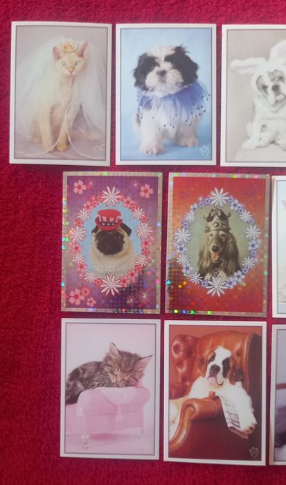 Conjunto de 10 cromos Perfect Pets
