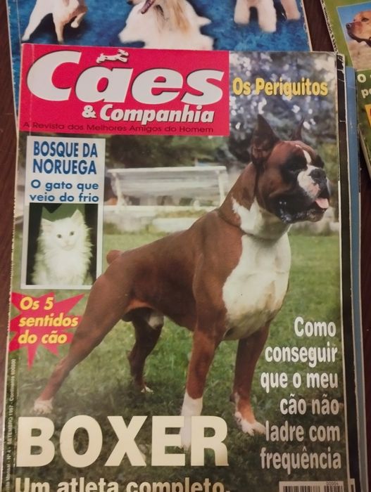 5 Revistas cães e companhia