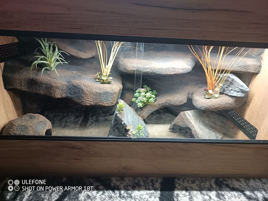 Terrarium 80x40x40