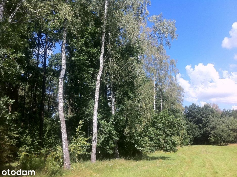 Trzcianka, gm. Wilga. Budowlane-WZ. Na nowo powstającym osiedlu. - Widok 2